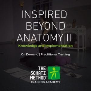 Inspired Beyond Anatomy, Level 2
