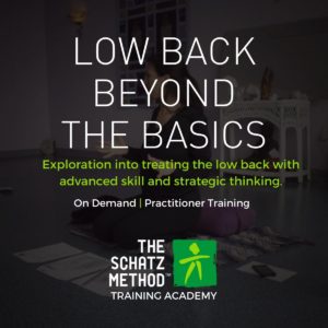 Low Back Beyond The Basics