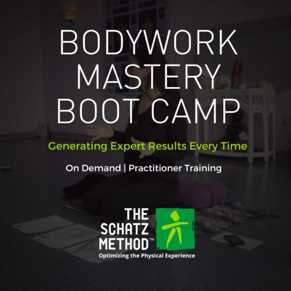 Bodywork Mastery Boot Camp