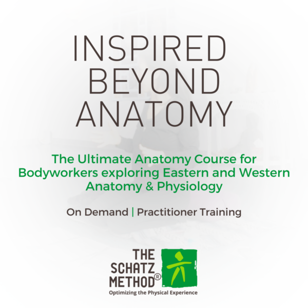 Inspired Beyond Anatomy