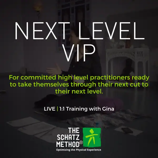 Next Level VIP