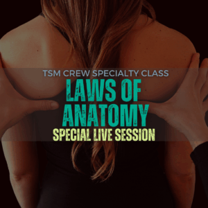 Laws of Anatomy